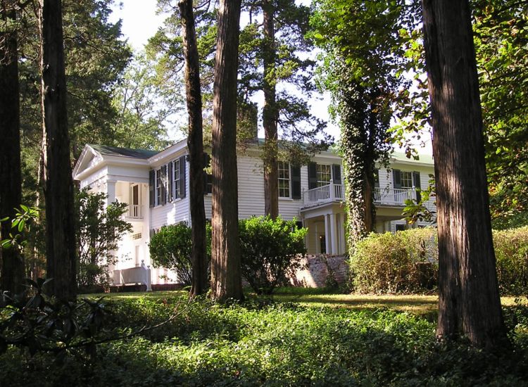 Photo of antebellum home as seen through a grove of trees