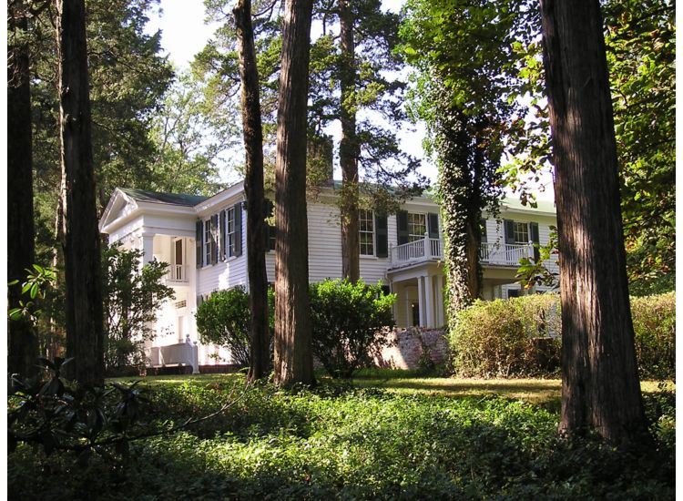 Photo of antebellum home as seen through a grove of trees