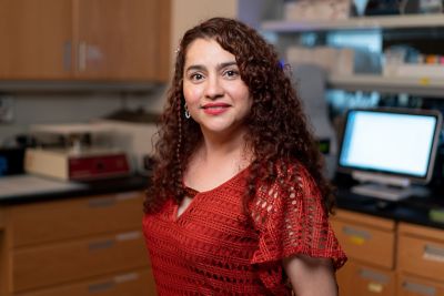 Laura Sanchez Hernandez, PhD