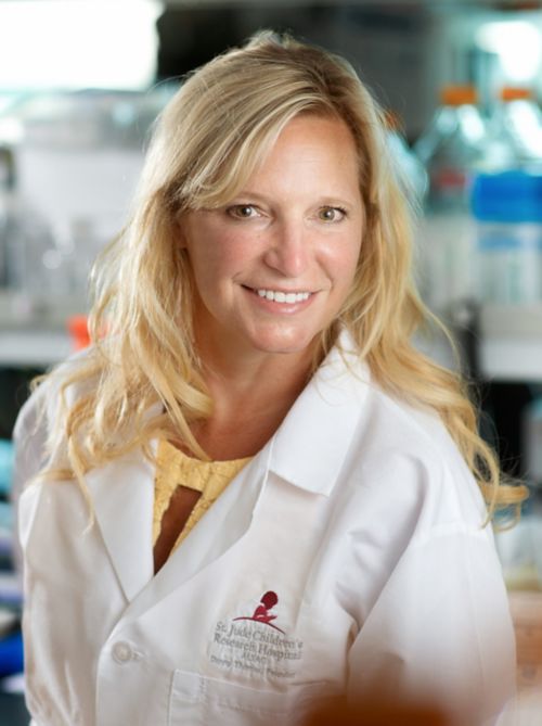 Stacey Schultz-Cherry, PhD