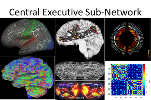 Structural and Connectivity Imaging Research Hub