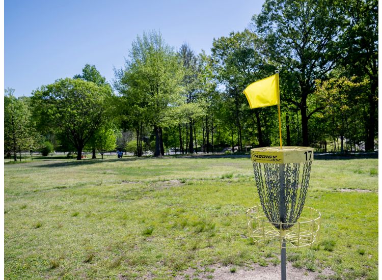 Disc golf course at Sea Isle Park in Memphis, TN