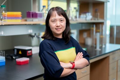 Ying Shao, PhD