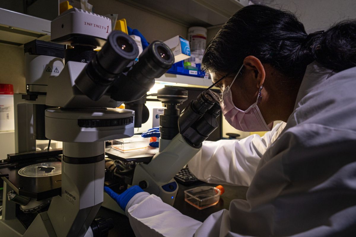 Shelat Lab Team | St. Jude Research