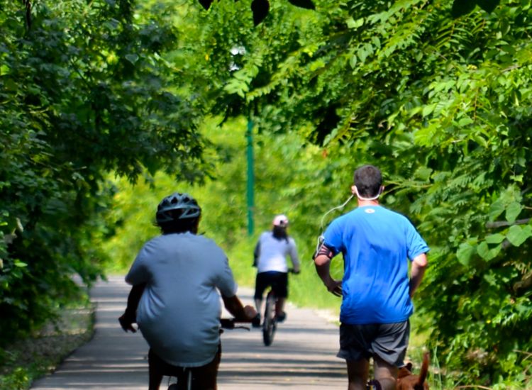 people riding bikes on trail