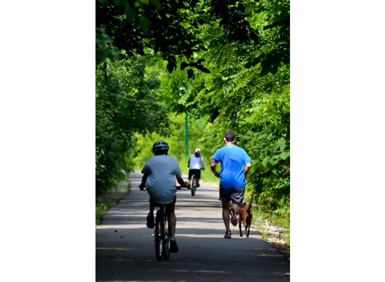 people riding bikes on trail