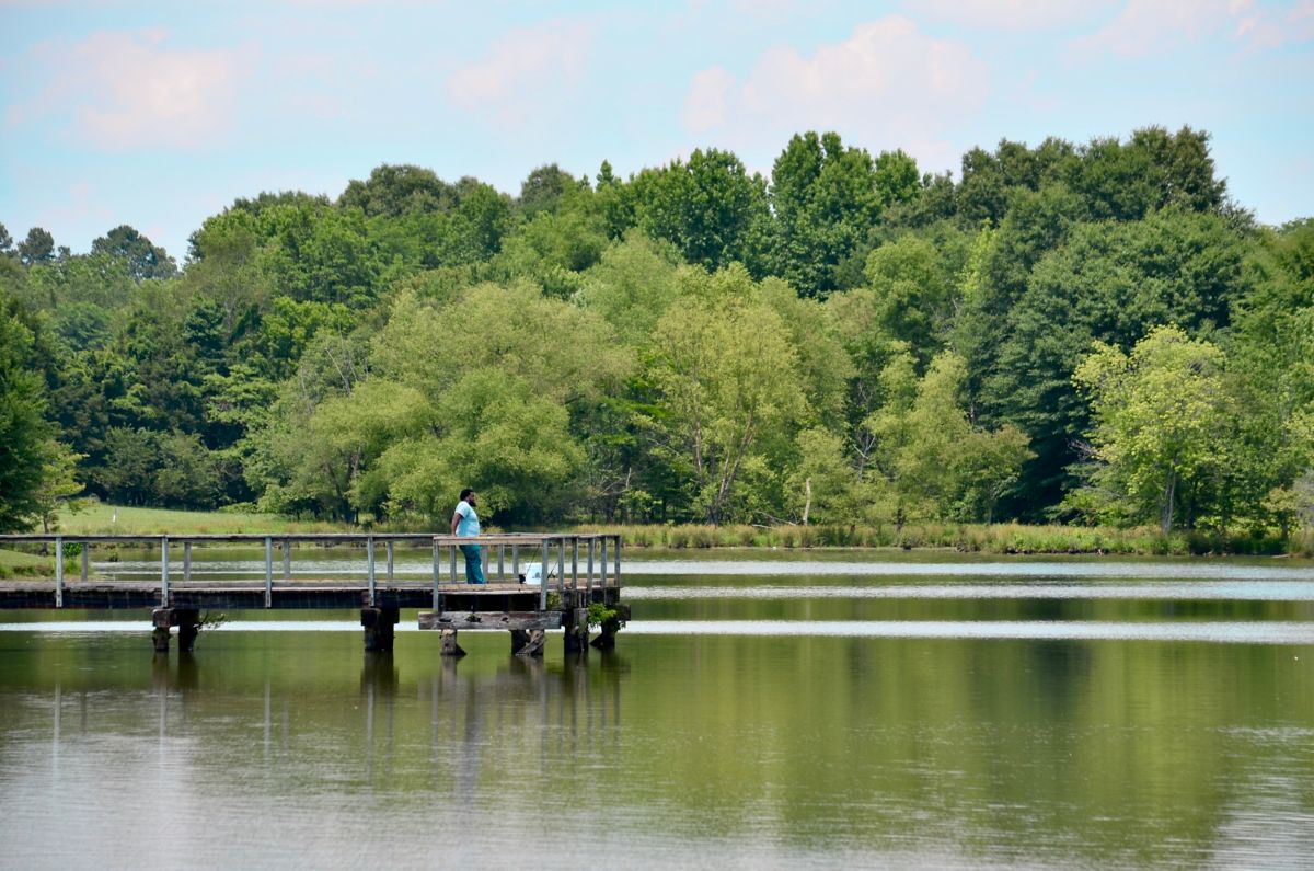 Man fishing on doc at Shelby Farms