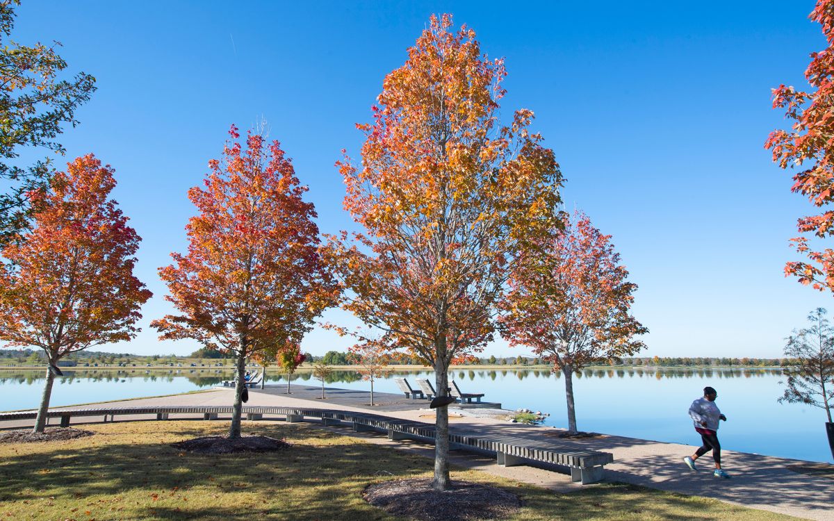 Among the many trails at Shelby Farms is the 2.3-mile walking, 2.45-mile cycling, Promenade at Hyde Lake.