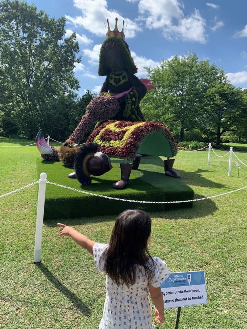 photo of young girl looking at garden topiary