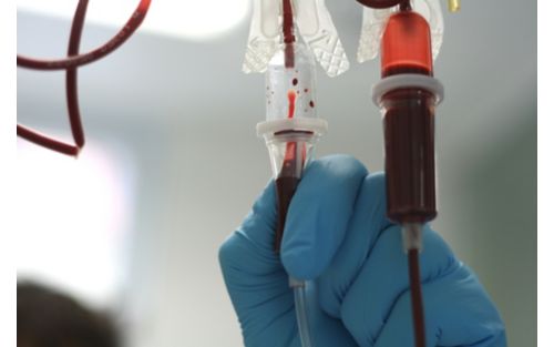 Image of blood in an IV