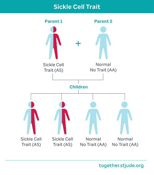 Sickle cell trait