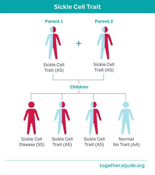 Sickle cell trait