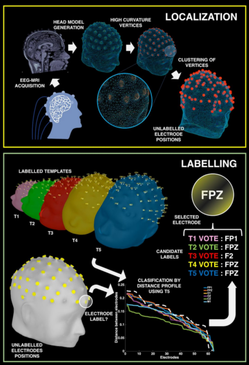 Multimodal Functional Brain Imaging Research Hub