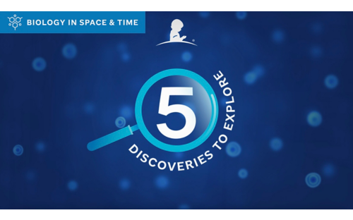 5 discoveries on Biology in Space & Time