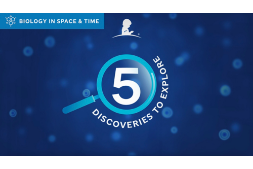 5 discoveries on Biology in Space & Time
