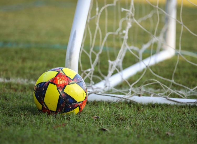 Close up of colorful soccer ball resting outside a goal