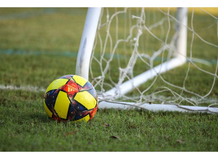 Close up of colorful soccer ball resting outside a goal