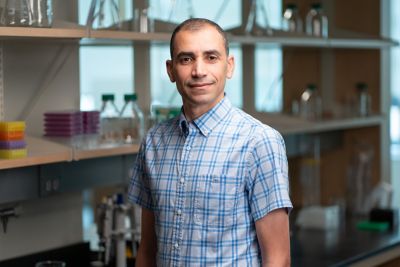 Taha Soliman, PhD