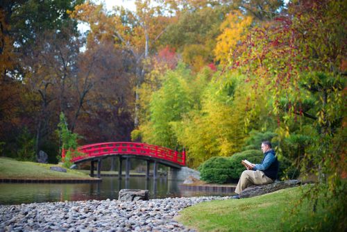 Hombre sentado cerca de un estanque con un puente rojo mientras lee un libro en una tarde de otoño.