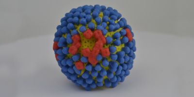 common cold cell
