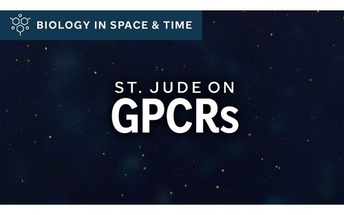 St. Jude on GPCRs illustration