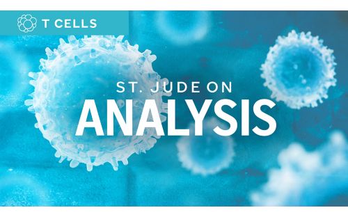 St. Jude on Analysis illustration