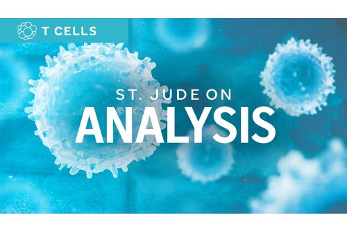 St. Jude on Analysis illustration