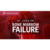 St. Jude On Bone Marrow Failure illustration