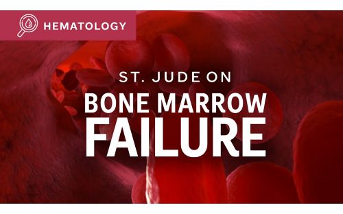 St. Jude On Bone Marrow Failure illustration
