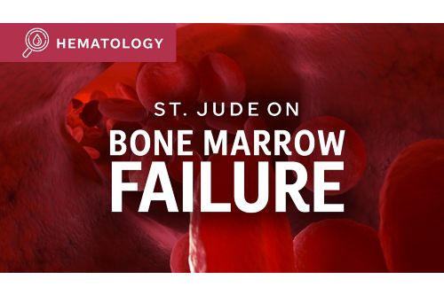 St. Jude On Bone Marrow Failure illustration