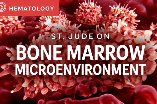 St. Jude On: Bone Marrow Macroenvironment