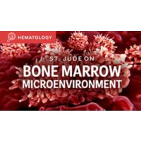 St. Jude On: Bone Marrow Macroenvironment