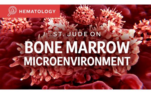 St. Jude On: Bone Marrow Macroenvironment