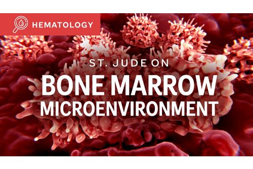 St. Jude On: Bone Marrow Macroenvironment