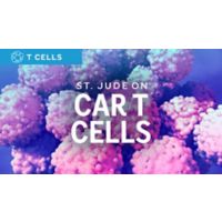 Car T-Cells illustration