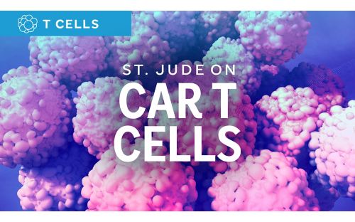 Car T-Cells illustration