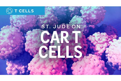 Car T-Cells illustration