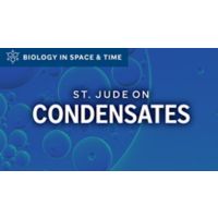 Condensates illustration