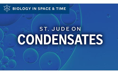 Condensates illustration