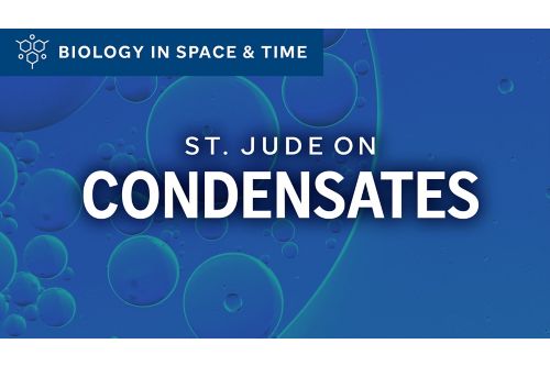 Condensates illustration