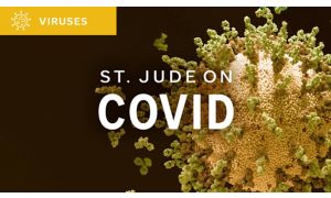 St. Jude On Covid graphic