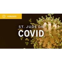 St. Jude On Covid graphic