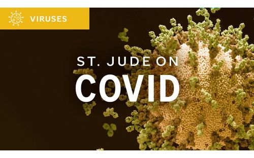 St. Jude On Covid graphic