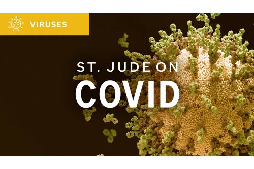 St. Jude On Covid graphic