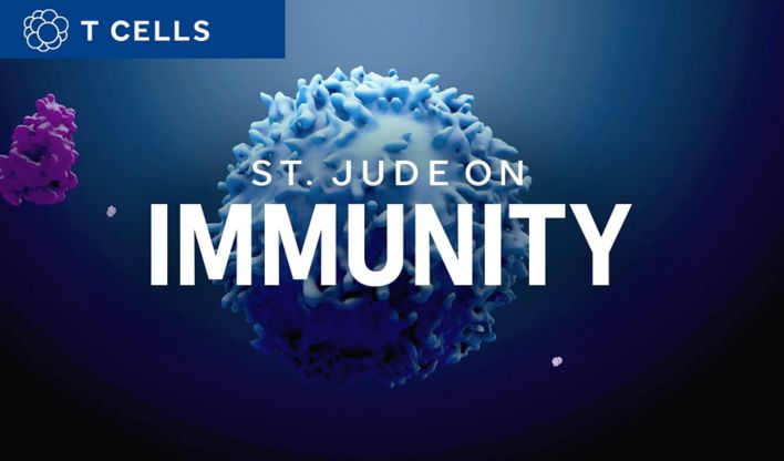 St. Jude on Immunity graphic