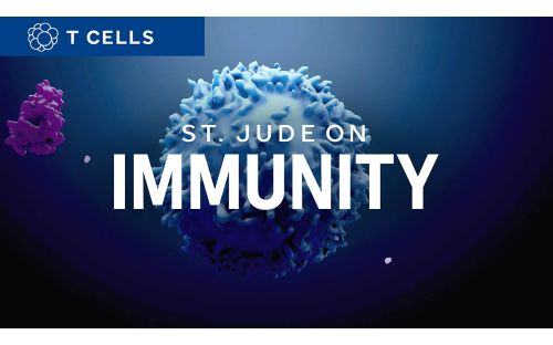 St. Jude on Immunity graphic