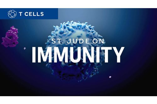 St. Jude on Immunity graphic