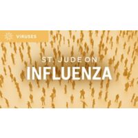 St. Jude on influenza illustration