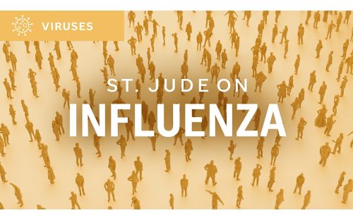 St. Jude on influenza illustration