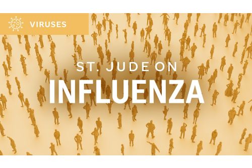 St. Jude on influenza illustration